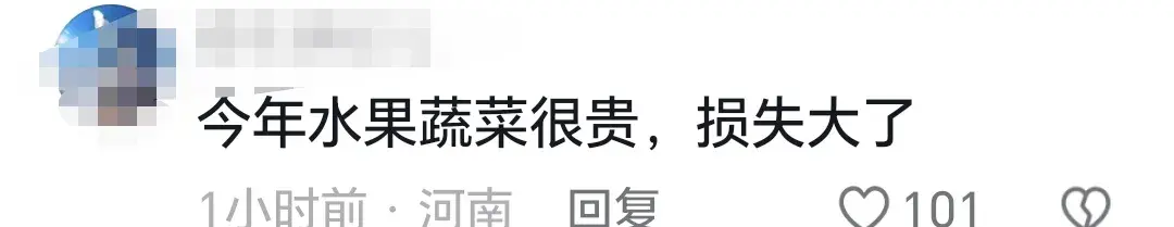 最新:店主不在城管将水果扔执法车,官方回应曝内情,果然不简单-卖水果的车被城管收了咋办