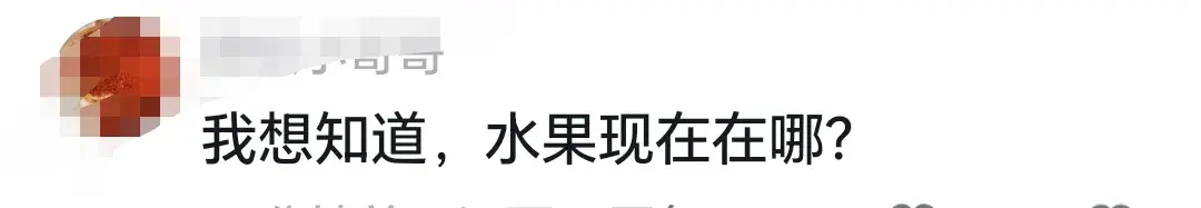 最新:店主不在城管将水果扔执法车,官方回应曝内情,果然不简单-卖水果的车被城管收了咋办