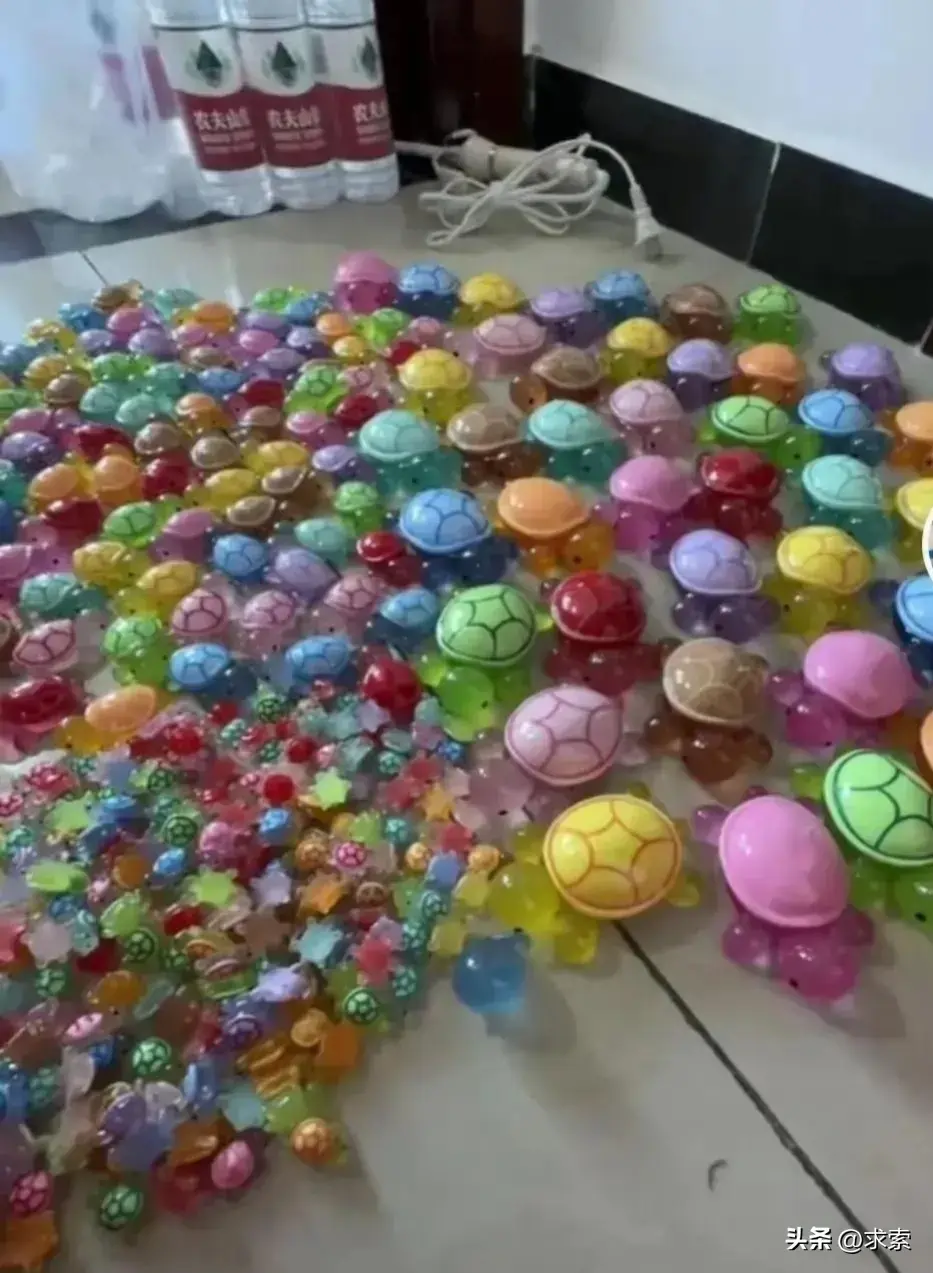 全红婵挂上LV的小乌龟了!LV果然懂她,这只“天价”小乌龟要火了-全红婵惊艳了世界