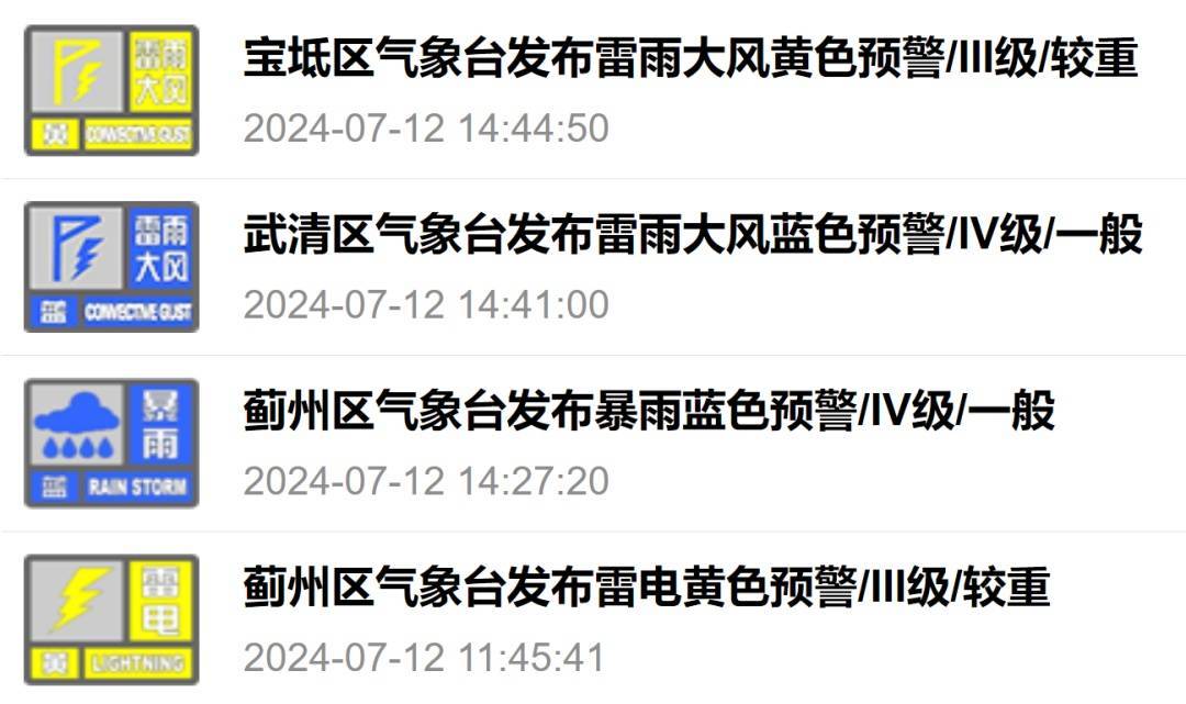 雷电大风暴雨!天津多区发布预警→-天津雷电、大风、强降雨打包发货