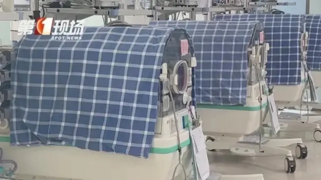 4胞胎父亲称收入微薄 深圳妇联回应:社区街道都会介入-深圳四胞胎事件处理