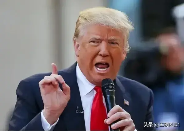 议员要求米莱拒绝金砖组织做出解释!特朗普与马斯克对其赞赏有加-米莱性格