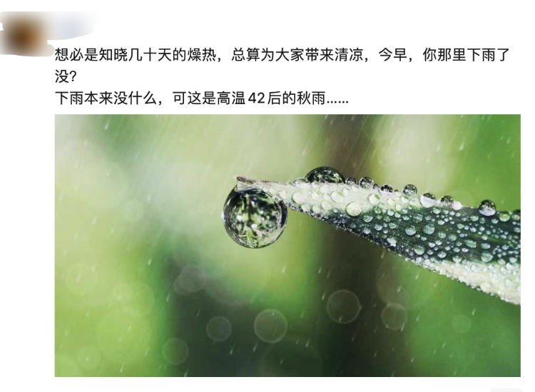 下雨了!“退烧”了!喜大普奔 重庆多地迎来降雨-重庆天气下雨概率