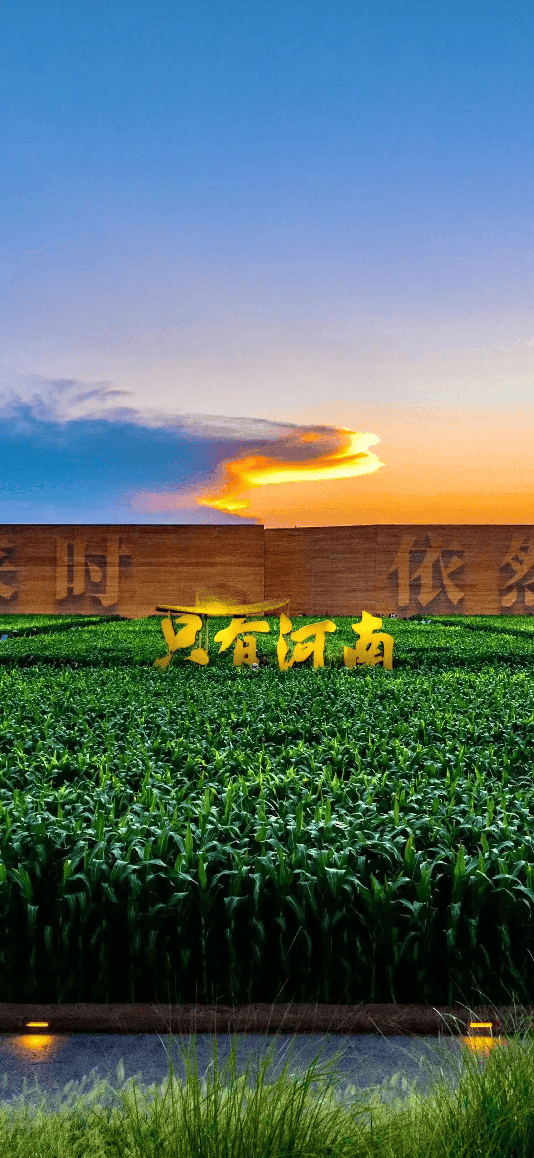 暑期过半!Top榜单揭秘郑州文旅“热度密码”→-郑州文艺景点