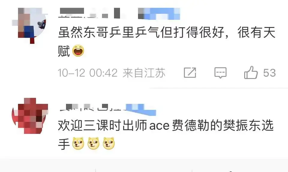 “网球运动员”樊振东:对着费德勒发ACE!-网球运动的锻炼价值