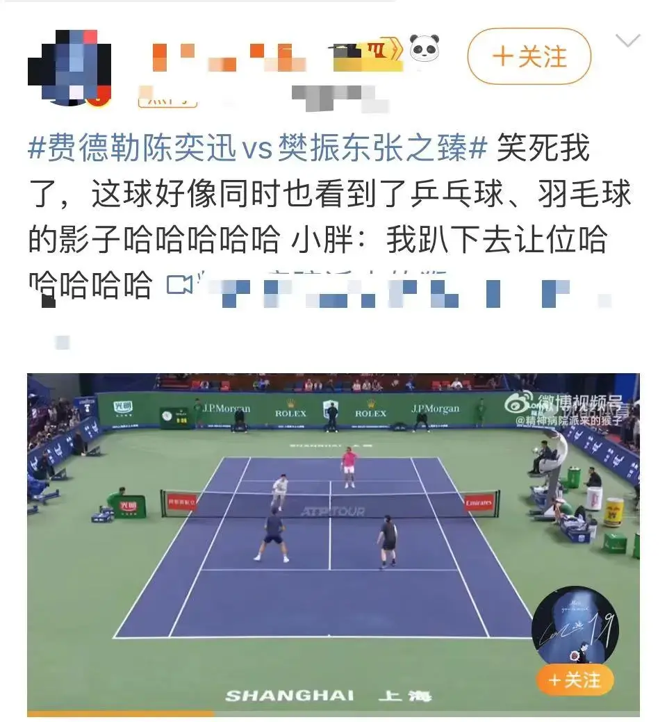 “网球运动员”樊振东:对着费德勒发ACE!-网球运动的锻炼价值