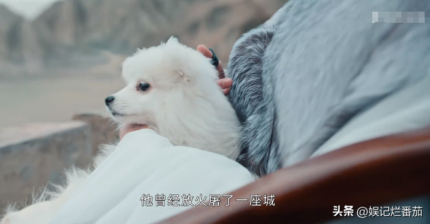 好家伙!吴谨言《春花焰》开播差评一片,观众差评理由出奇一致-吴谨言被央视diss