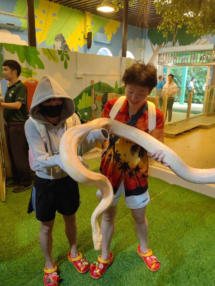 全红婵陈艺文穿同款游长隆,两人互动亲密像母子,清场免费玩个够-全红婵夺冠后陈芋汐反应