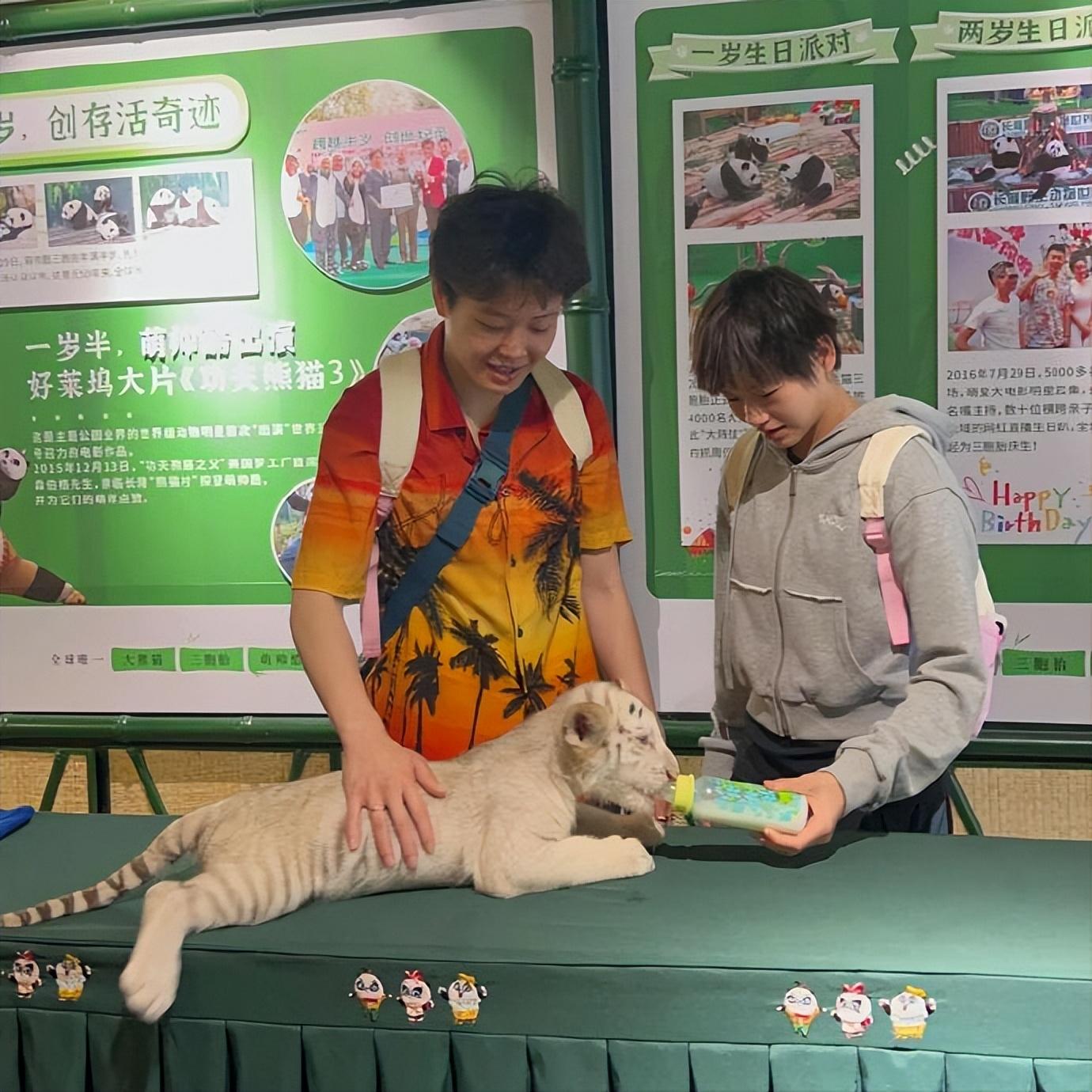 全红婵陈艺文穿同款游长隆,两人互动亲密像母子,清场免费玩个够-全红婵夺冠后陈芋汐反应