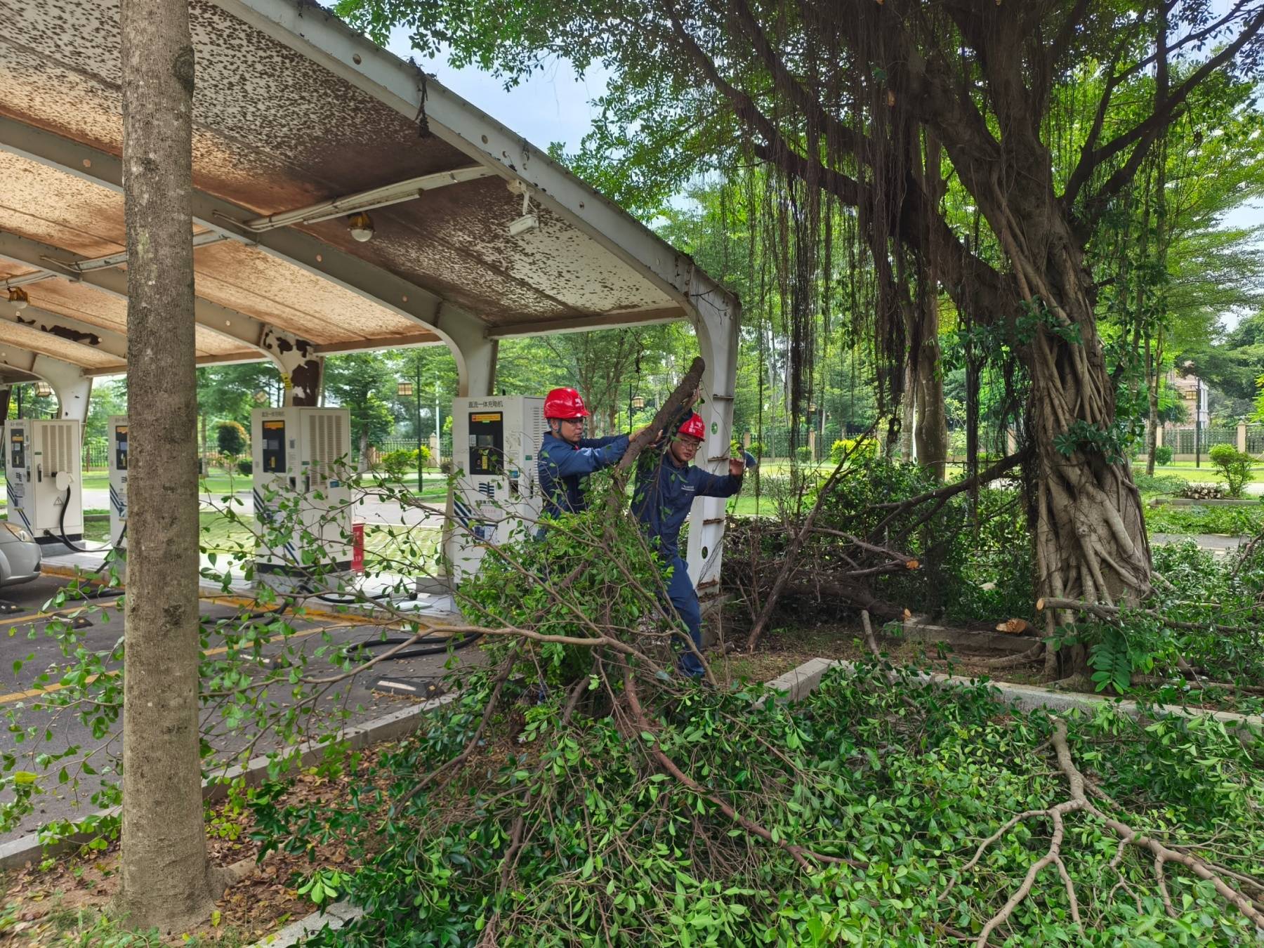【组图】广东全力以赴做好台风“摩羯”防御工作-广东台风预计什么时候结束
