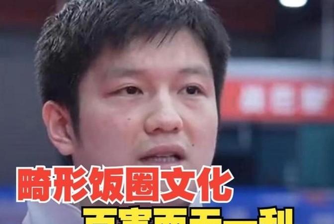 樊振东吐槽饭圈文化!输赢都难?运动员的压力山大-樊振东吼什么