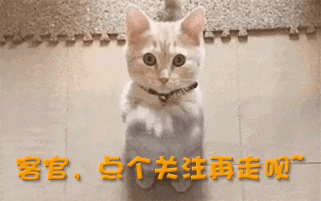 林志颖露面开车!瘦到脱相,笑容僵硬,车祸后遗症明显,网友心酸-林志颖开豪车参加舞会