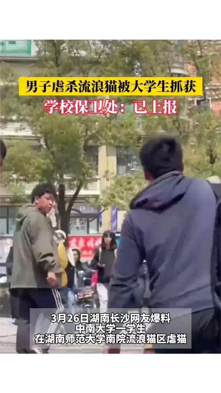"湖南师大男子持凶器虐杀流浪猫,同学英勇阻止助力动物保护运动"-湖南师大事件