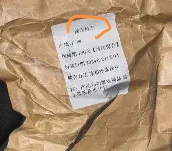 "湖南师大男子持凶器虐杀流浪猫,同学英勇阻止助力动物保护运动"-湖南师大事件