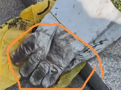 "湖南师大男子持凶器虐杀流浪猫,同学英勇阻止助力动物保护运动"-湖南师大事件