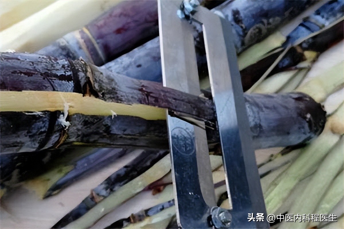老话说:一根甘蔗六味药,是什么意思?有道理吗?中医揭开谜底-一根甘蔗等于多少方糖