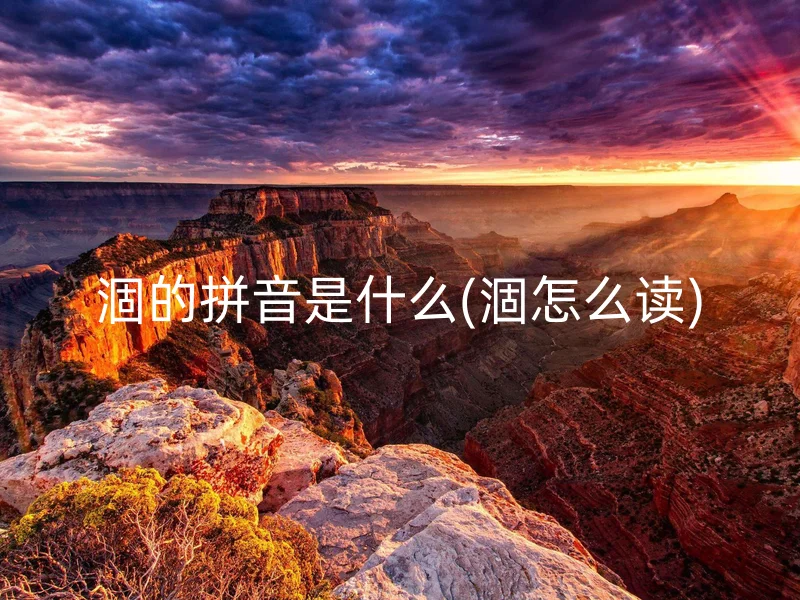 涸的拼音是什么(涸怎么读)