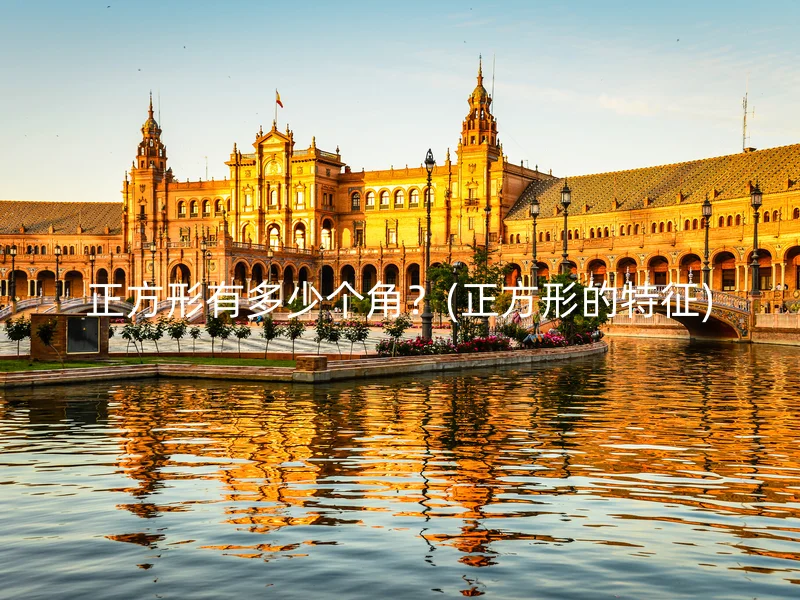 正方形有多少个角?(正方形的特征)