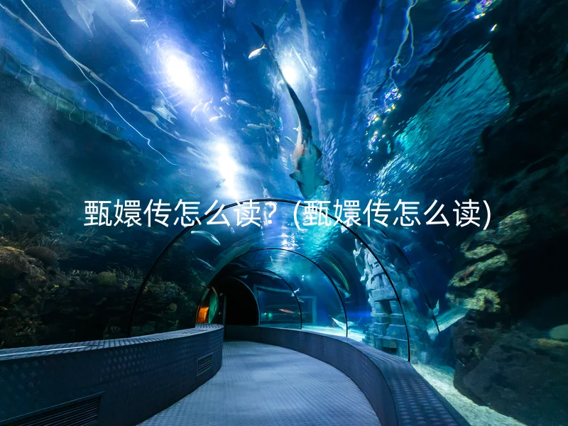 甄嬛传怎么读?(甄嬛传怎么读)