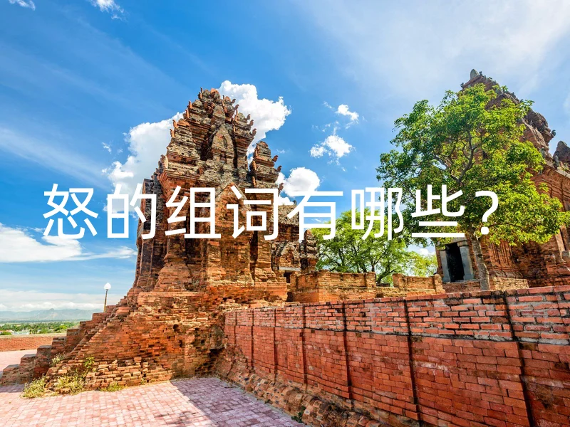 怒的组词有哪些?