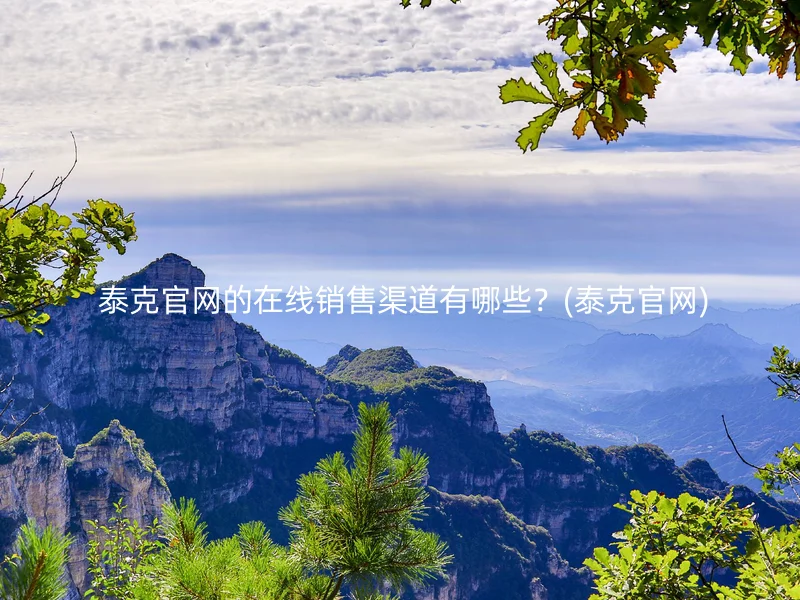 泰克官网的在线销售渠道有哪些?(泰克官网)