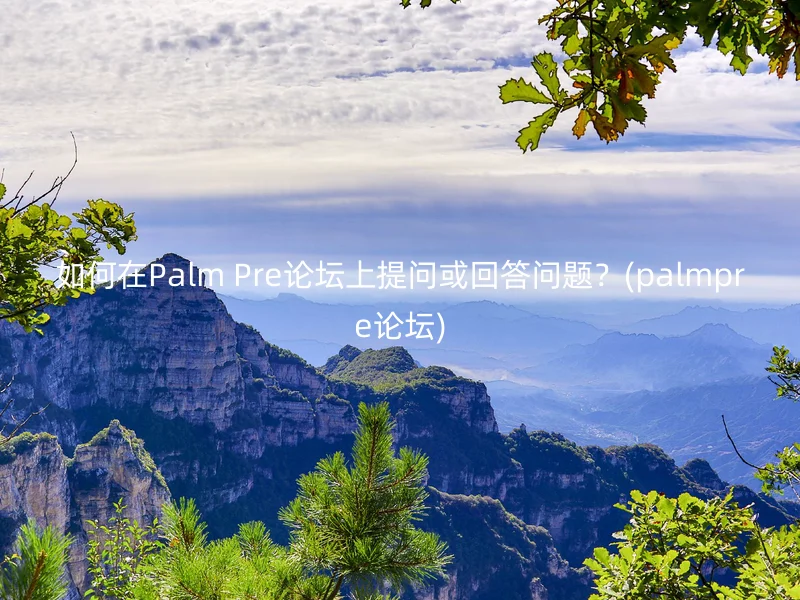 如何在Palm Pre论坛上提问或回答问题?(palmpre论坛)