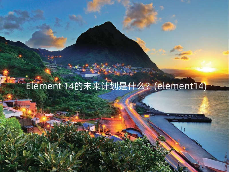 Element 14的未来计划是什么?(element14)