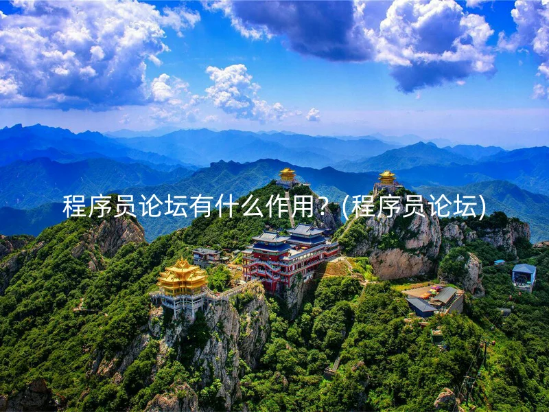 程序员论坛有什么作用?(程序员论坛)