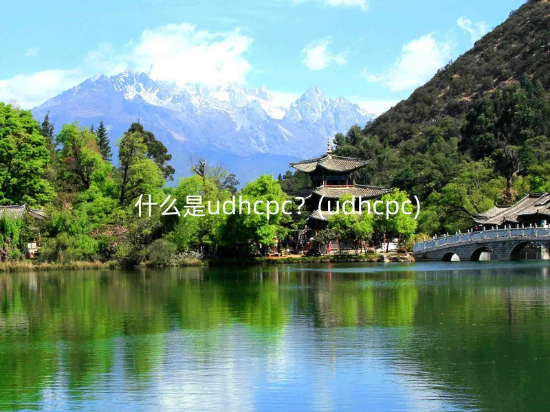 什么是udhcpc?(udhcpc)