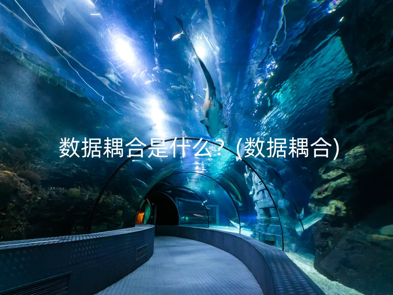 数据耦合是什么?(数据耦合)