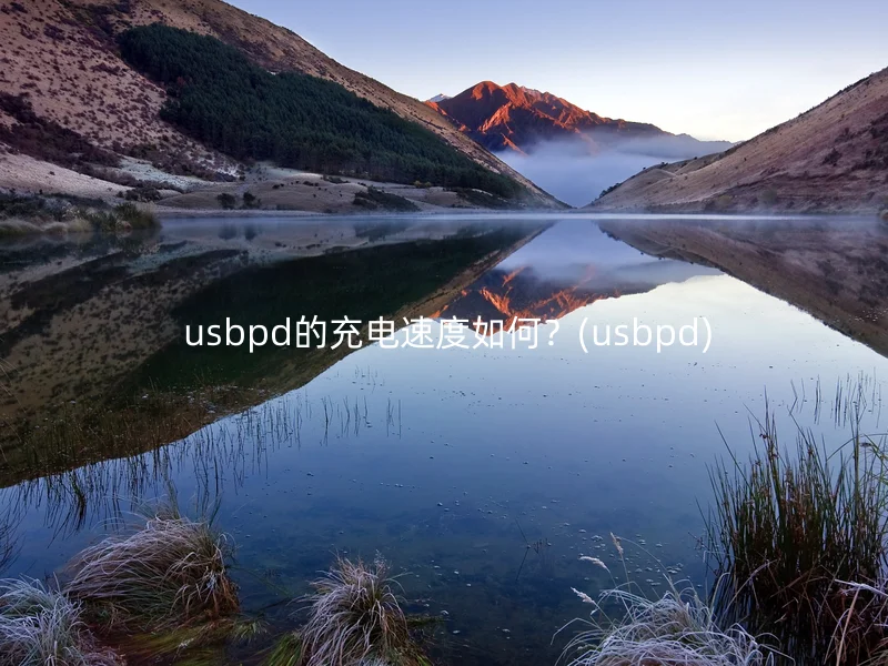 usbpd的充电速度如何?(usbpd)