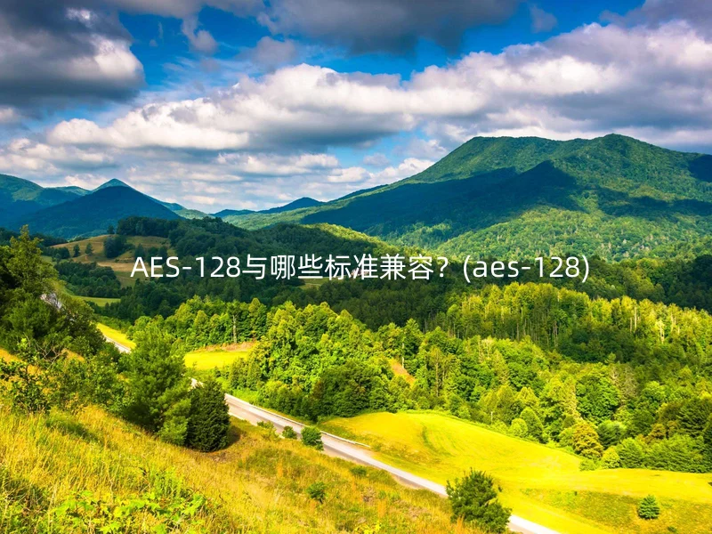 AES-128与哪些标准兼容?(aes-128)