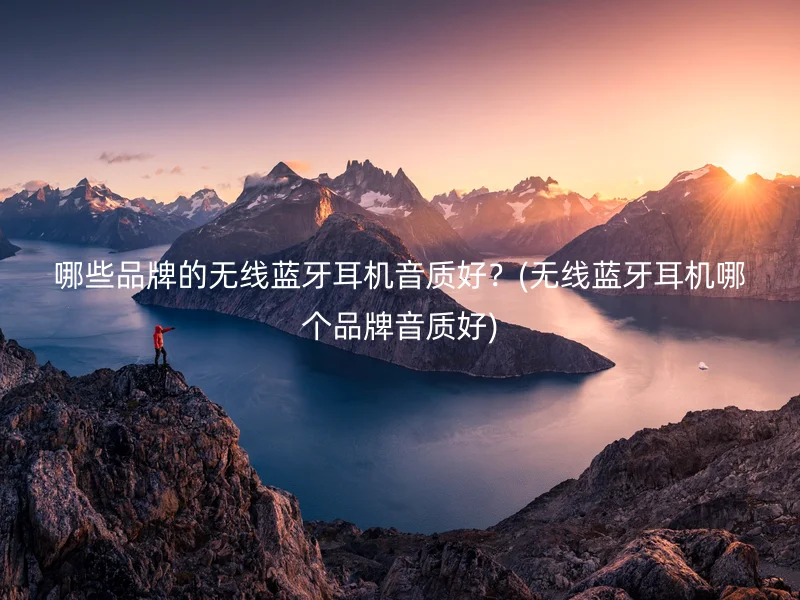 哪些品牌的无线蓝牙耳机音质好?(无线蓝牙耳机哪个品牌音质好)