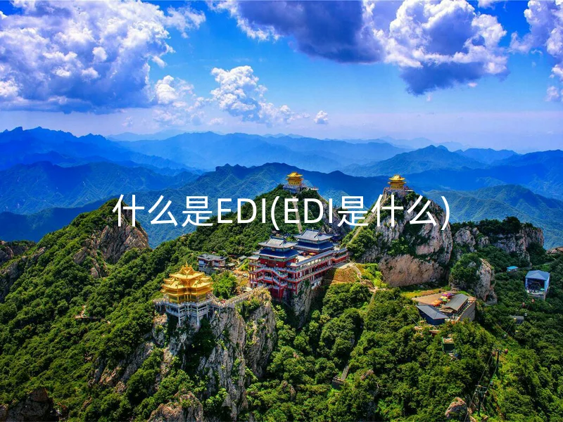 什么是EDI(EDI是什么)