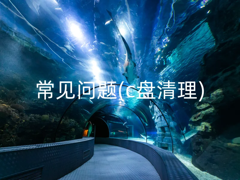 常见问题(c盘清理)