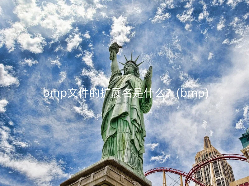 bmp文件的扩展名是什么?(bmp)