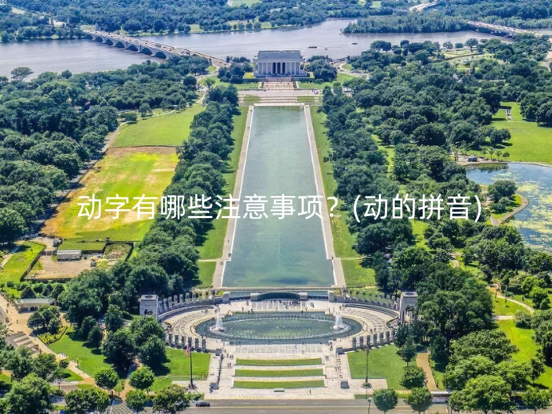 动字有哪些注意事项?(动的拼音)
