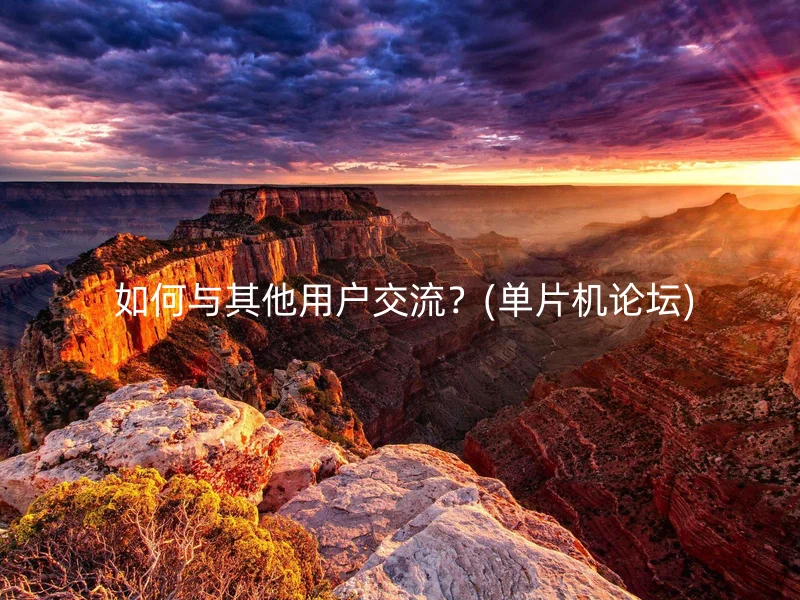 如何与其他用户交流?(单片机论坛)