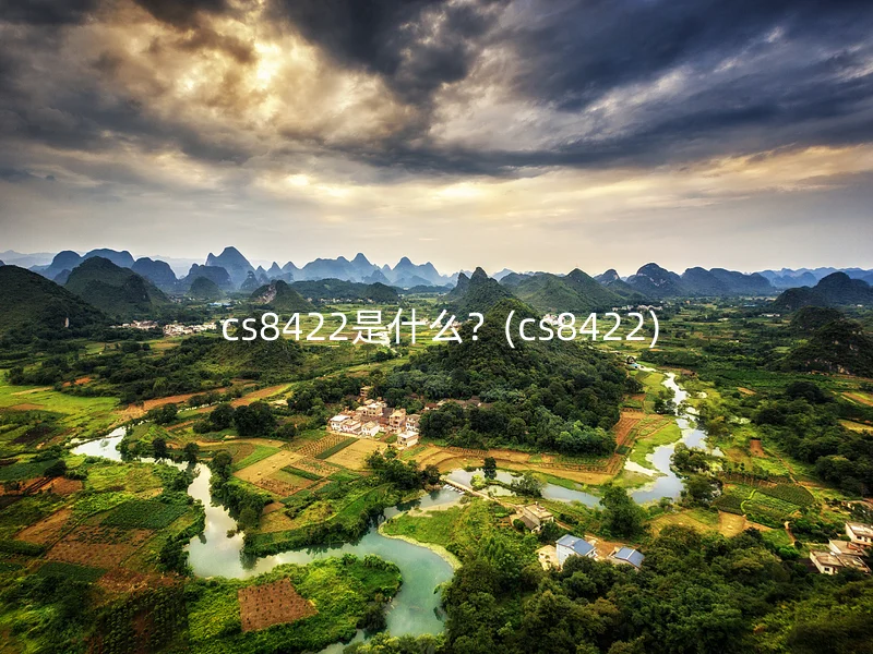 cs8422是什么?(cs8422)
