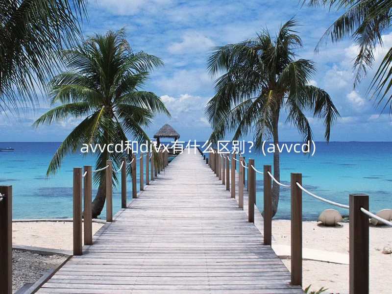 avvcd和divx有什么区别?(avvcd)