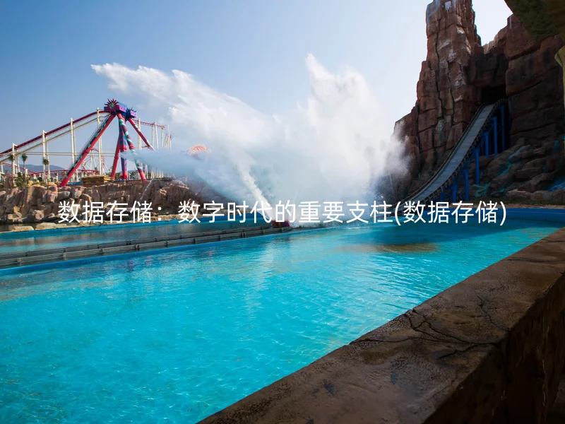 数据存储:数字时代的重要支柱(数据存储)