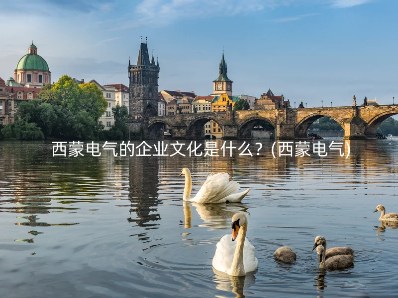 西蒙电气的企业文化是什么?(西蒙电气)