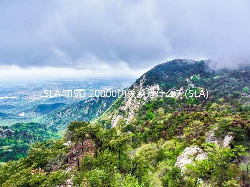 SLA与ISO 20000的关系是什么?(SLA)