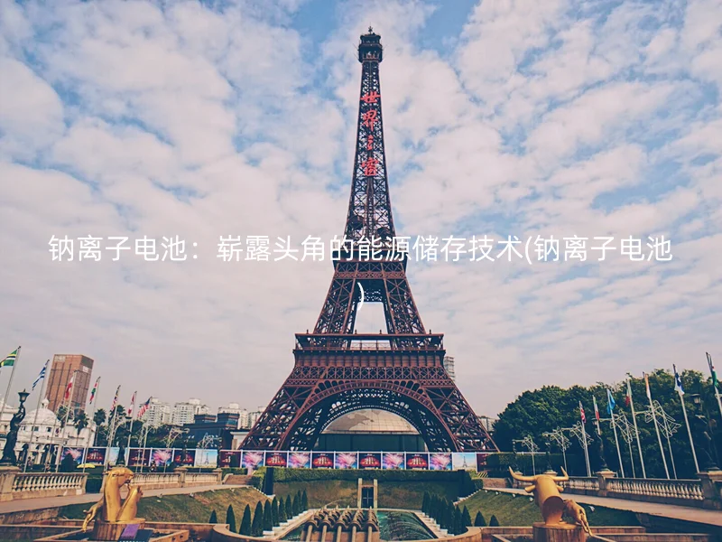 钠离子电池:崭露头角的能源储存技术(钠离子电池)