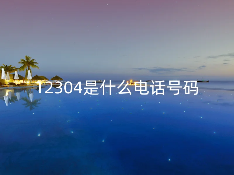 12304是什么电话号码