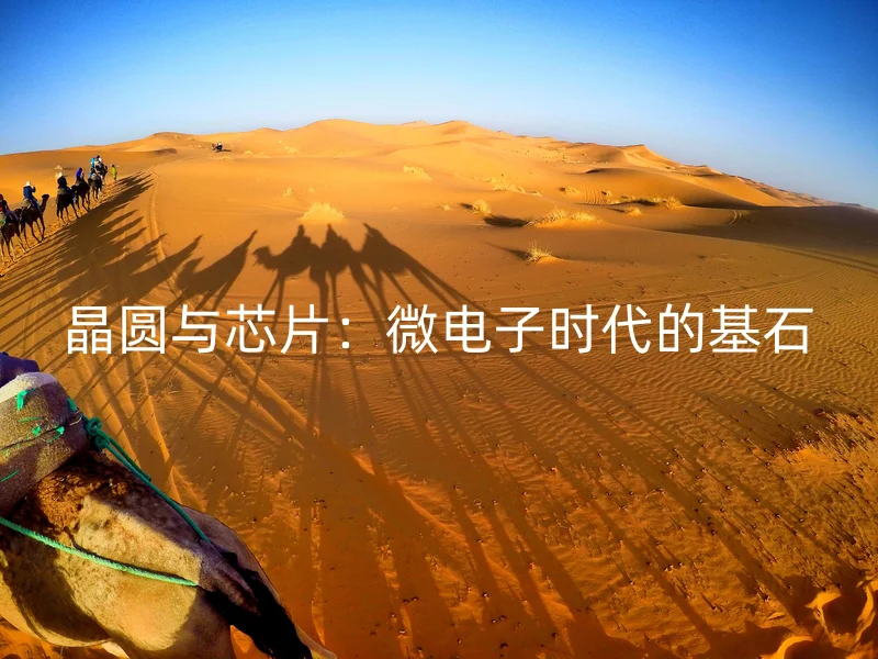 晶圆与芯片:微电子时代的基石