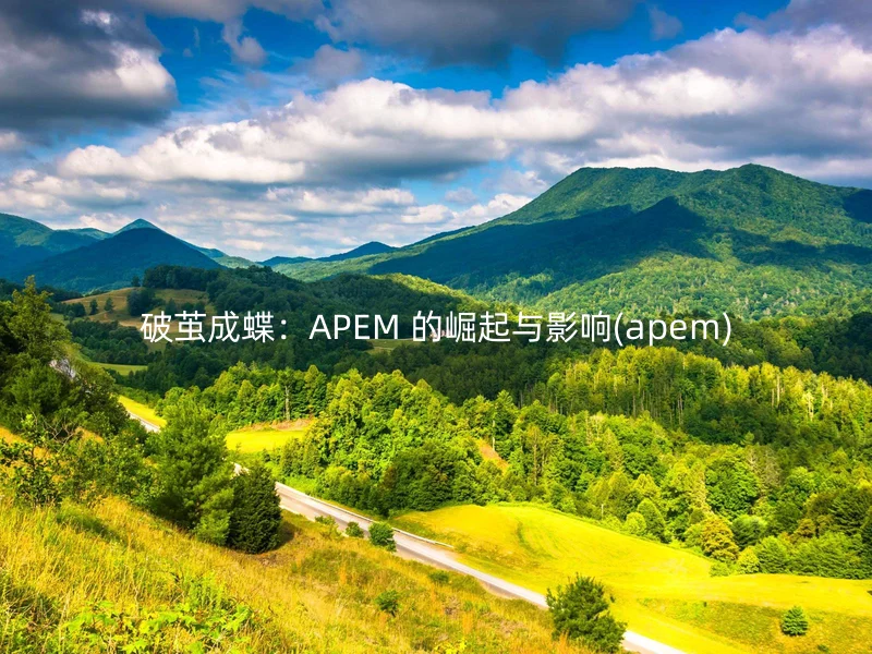 破茧成蝶:APEM 的崛起与影响(apem)