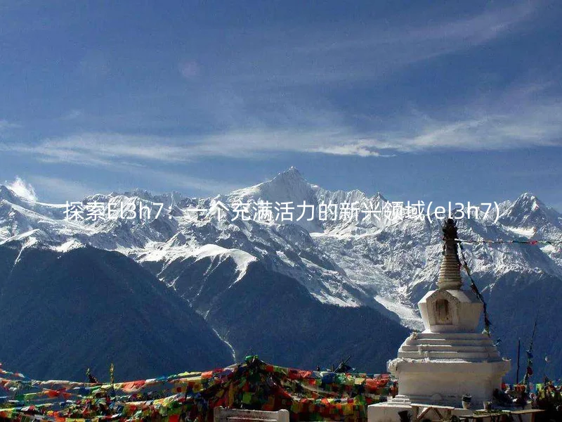 探索El3h7:一个充满活力的新兴领域(el3h7)