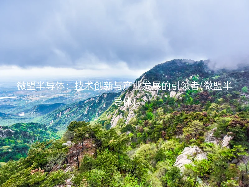 微盟半导体:技术创新与产业发展的引领者(微盟半导体)