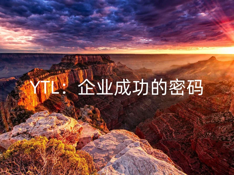 YTL:企业成功的密码